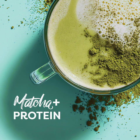 Matcha+ Protein